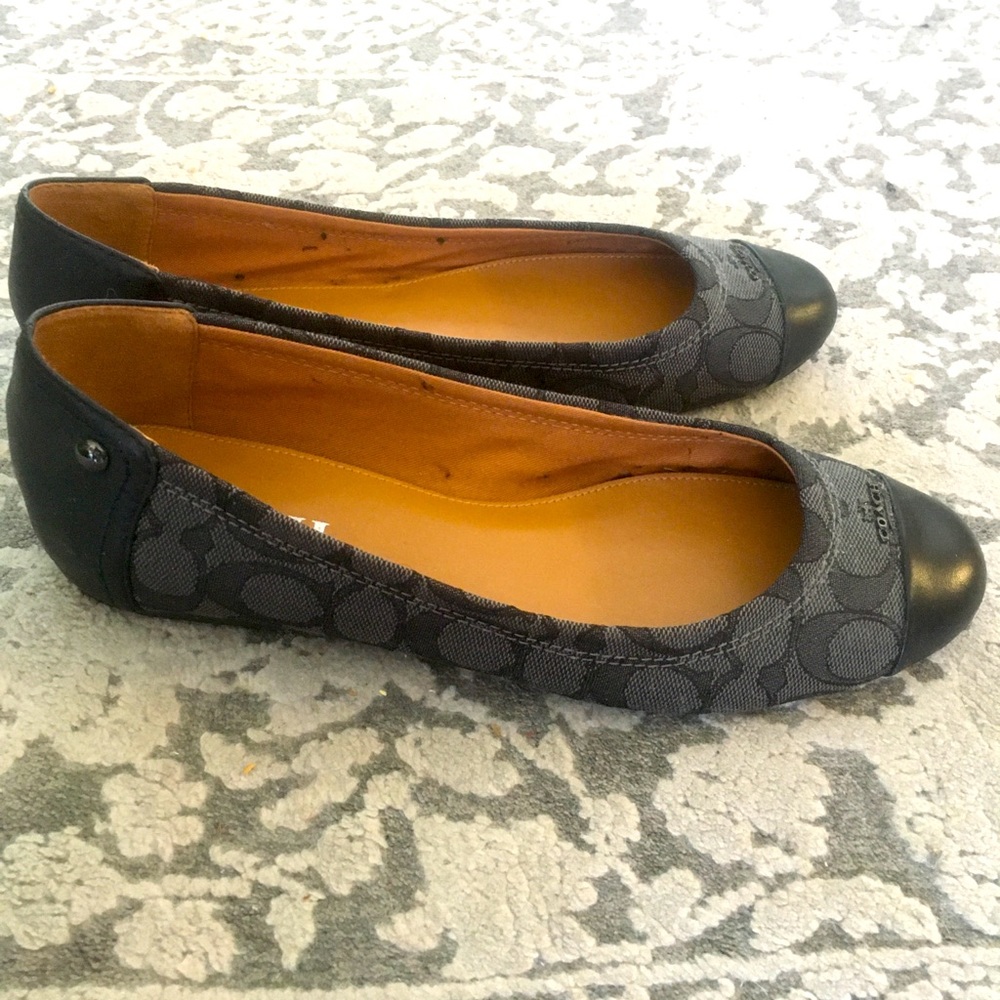 Coach shoes